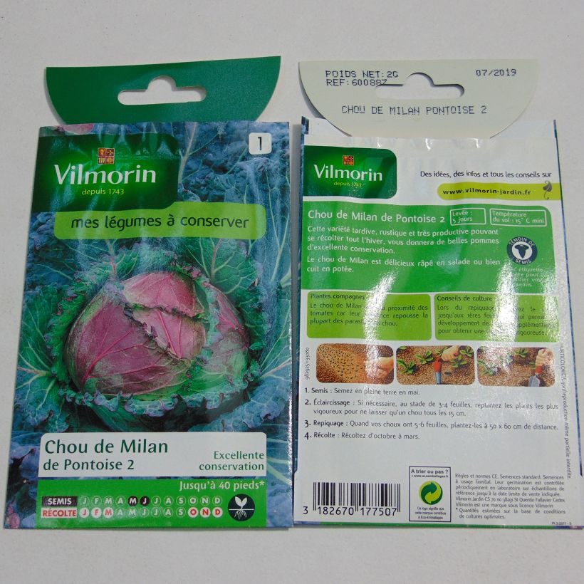Ejemplo de ejemplar de Col de Milan de Pontoise - Vilmorin saco de 1200 semillas (2g) tal y como se entrega