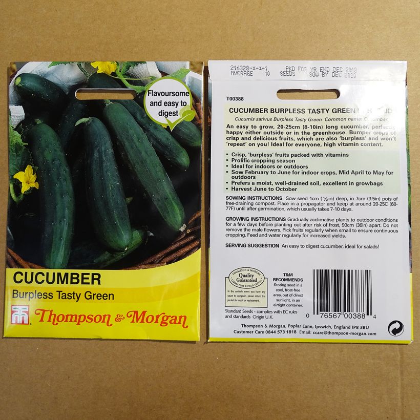 Ejemplo de ejemplar de Pepino Burpless Tasty Green saco de 10 semillas tal y como se entrega