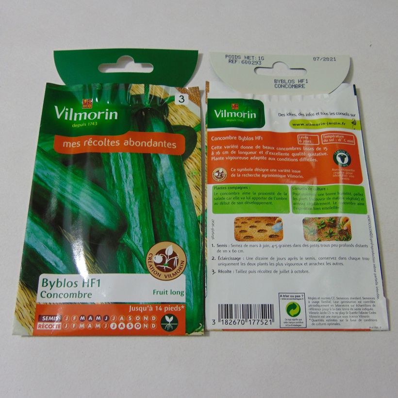 Ejemplo de ejemplar de Pepino Byblos saco de 35 semillas (1g) tal y como se entrega