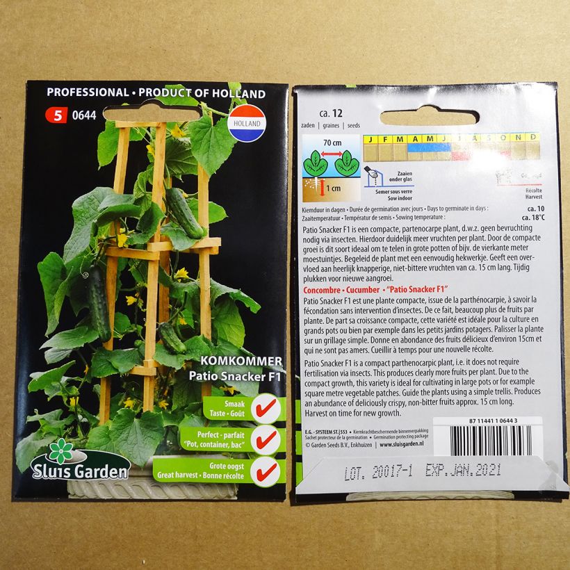 Ejemplo de ejemplar de Pepino Patio Snacker F1 saco de 12 semillas tal y como se entrega