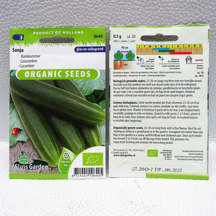 Ejemplo de ejemplar de Pepino Sonja (semillas) saco de 30 semillas (1g) tal y como se entrega