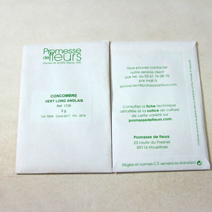 Ejemplo de ejemplar de Pepino Vert long anglais (semillas) saco de 100 semillas (3g) tal y como se entrega
