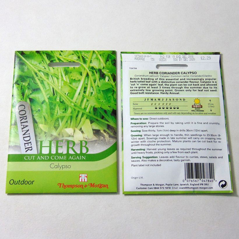 Ejemplo de ejemplar de Cilantro Calypso saco de 150 semillas tal y como se entrega