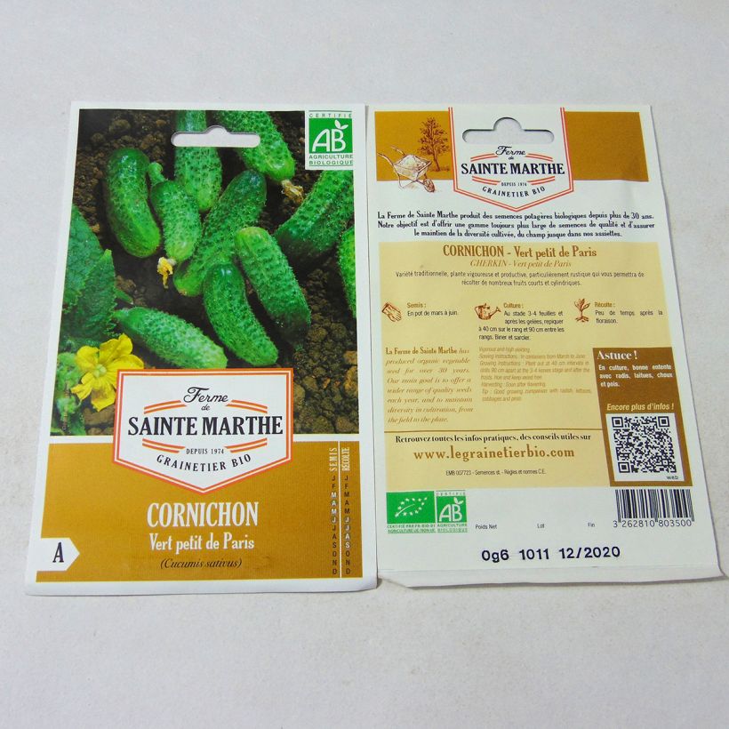 Ejemplo de ejemplar de Pepinillo Vert Petit de Paris Bio - Ferme de Sainte Marthe saco de 20 semillas tal y como se entrega