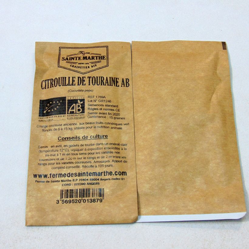 Ejemplo de ejemplar de Calabacín de Touraine saco de 15 semillas (6g) tal y como se entrega