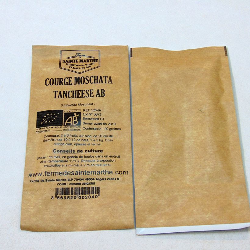 Ejemplo de ejemplar de Calabacita amarilla Tancheese saco de 20 semillas (2g) tal y como se entrega