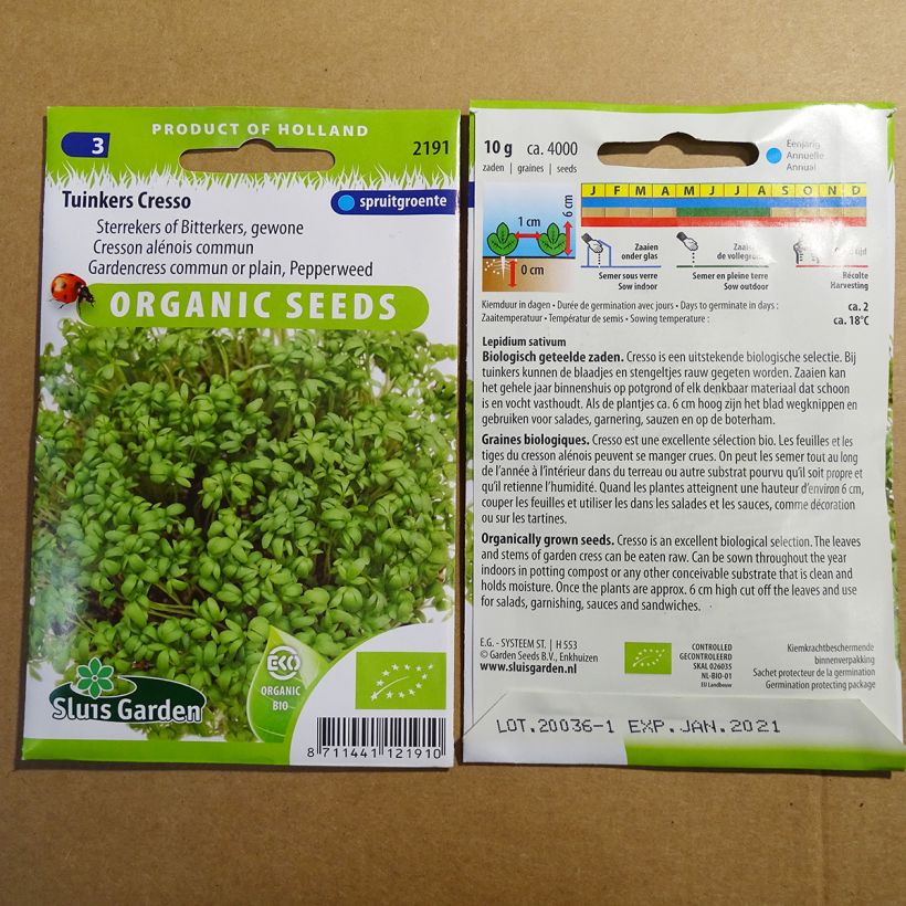 Ejemplo de ejemplar de Mastuerzo BIO - Lepidium sativum saco de 3650 semillas (10g) tal y como se entrega