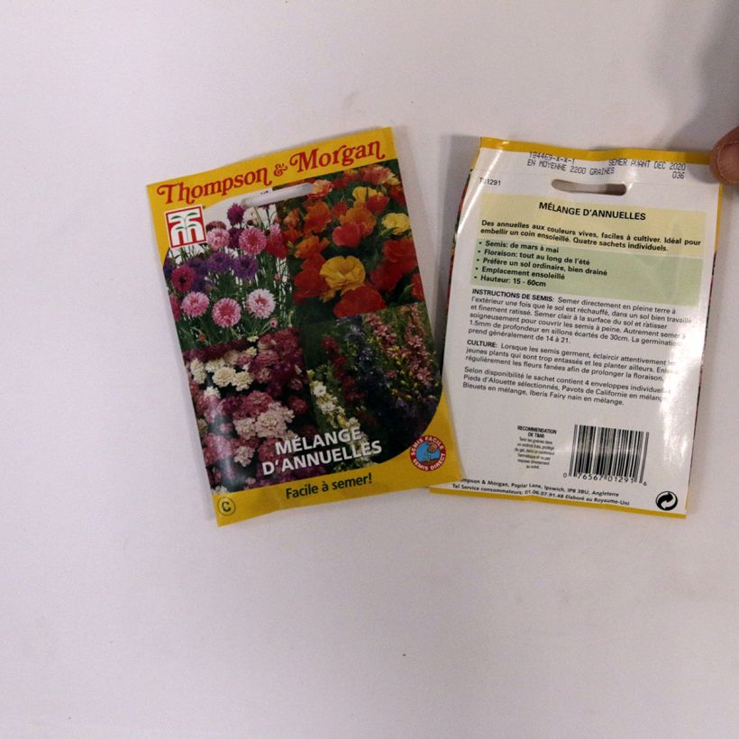 Ejemplo de ejemplar de Semillas Mezcla de anuales - Easy Annuals Fairy Mixed saco de 2 gramos de semillas tal y como se entrega