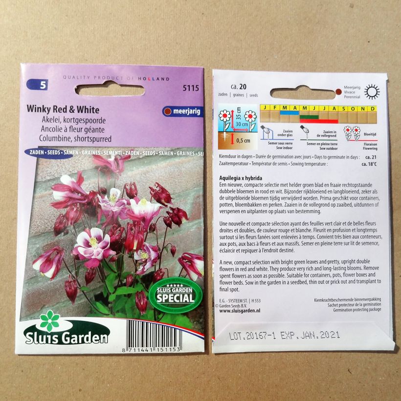 Ejemplo de ejemplar de Aquilegia Winky Red & White saco de 20 semillas tal y como se entrega