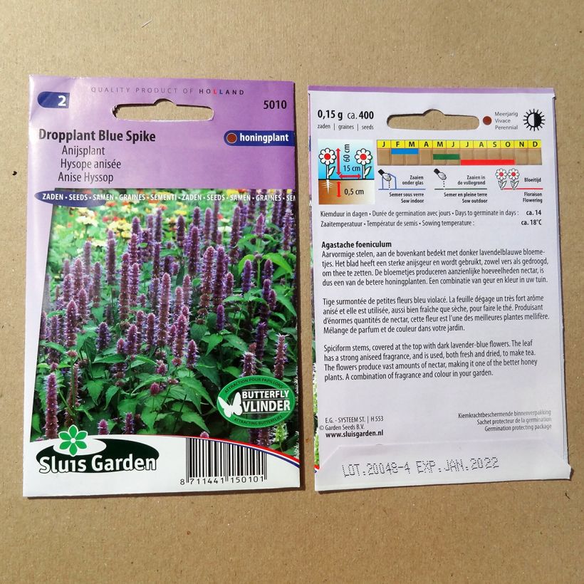 Ejemplo de ejemplar de Agastache foeniculum Blue Spike (semillas) saco de 0.15 gramos de semillas tal y como se entrega