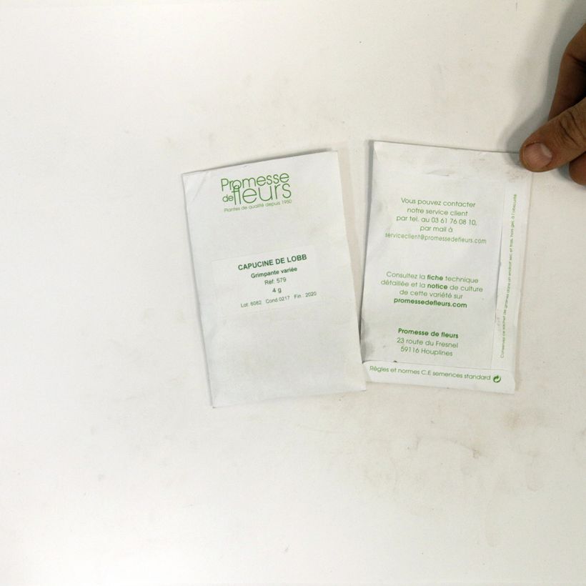 Ejemplo de ejemplar de Capuchina Gleam saco de 35 semillas (5g) tal y como se entrega