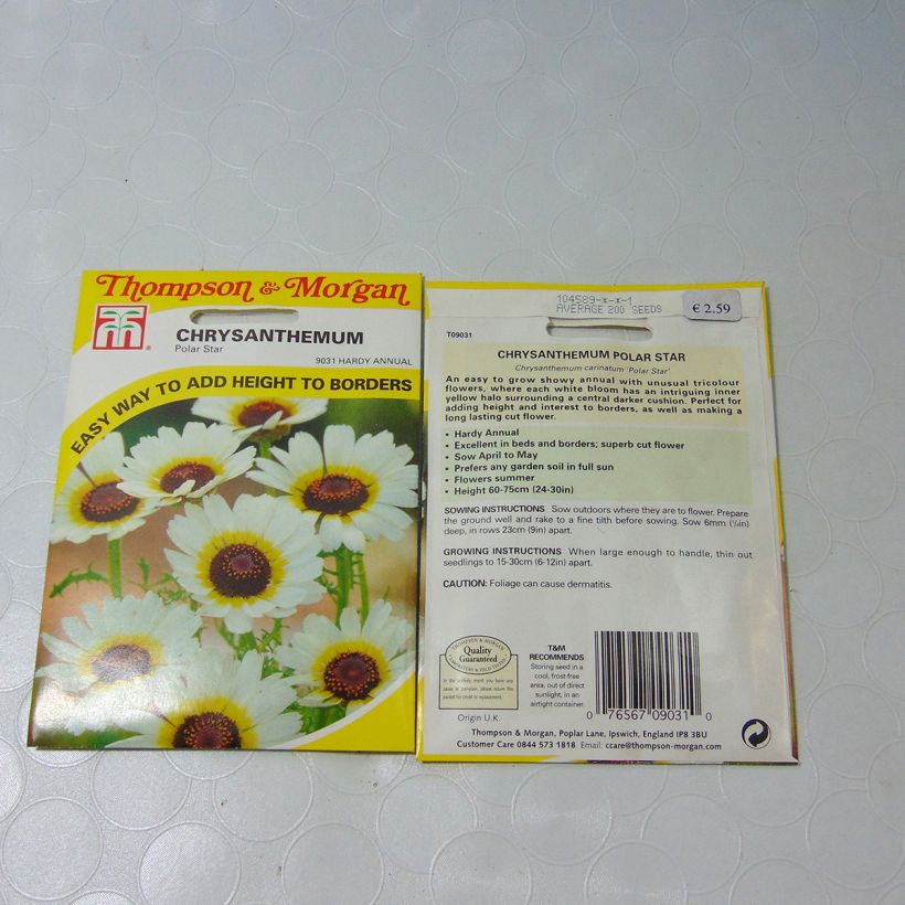 Ejemplo de ejemplar de Chrysanthemum carinatum Polar Star - Crisantemo saco de 300 semillas (1g) tal y como se entrega
