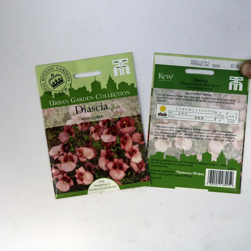 Ejemplo de ejemplar de Diascia Rose Queen saco de 550 semillas (0,15g) tal y como se entrega