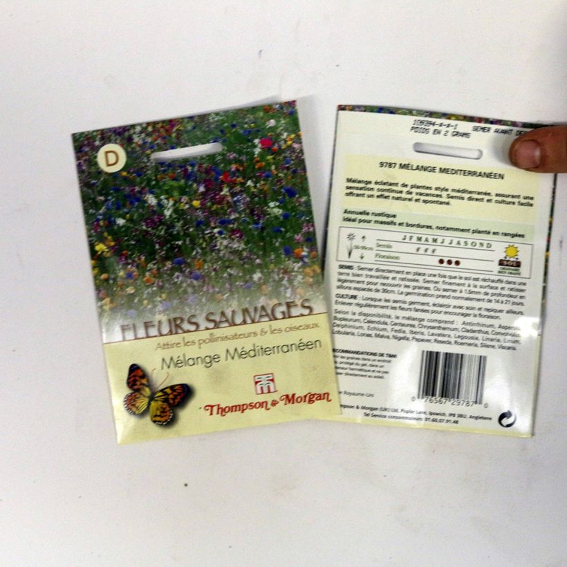 Ejemplo de ejemplar de Semillas de Flores Silvestres - Mezcla Mediterránea saco de 2 gramos de semillas tal y como se entrega