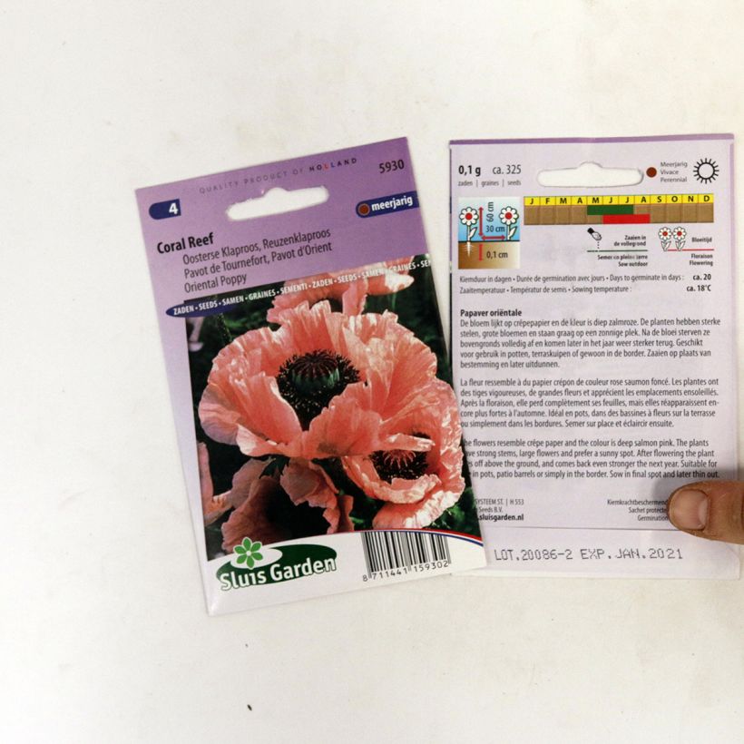 Ejemplo de ejemplar de Amapola oriental Coral Reef (semillas) - Papaver orientale saco de 400 semillas (0,1g) tal y como se entrega