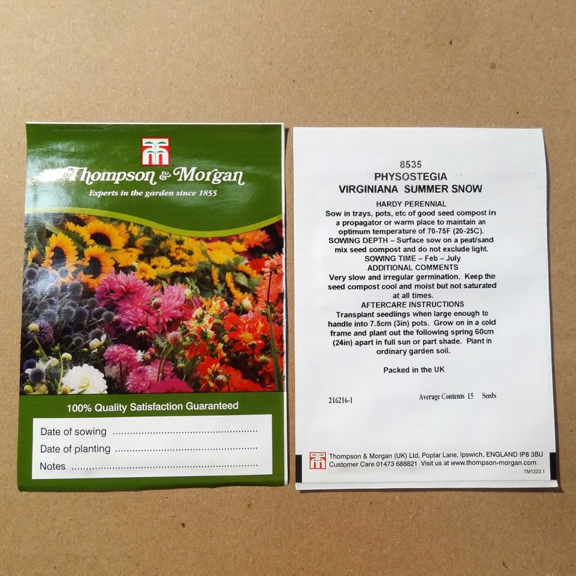 Ejemplo de ejemplar de Physostegia virginiana Summer Snow (semillas) saco de 50 semillas (0,1g) tal y como se entrega