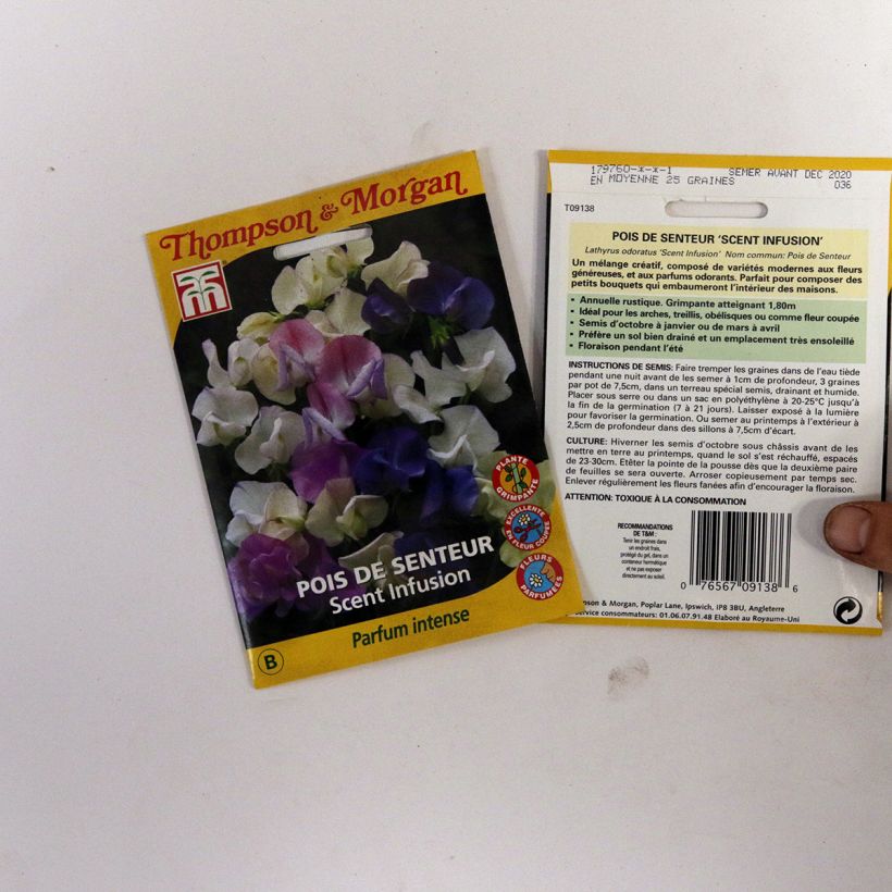 Ejemplo de ejemplar de Guisante de olor Scent Infusion - Lathyrus odoratus saco de 30 semillas tal y como se entrega