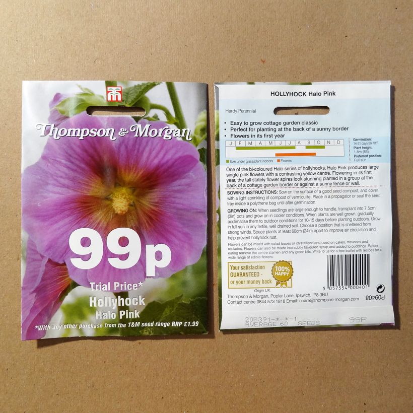 Ejemplo de ejemplar de Alcea rosea Halo Pink - Malva real saco de 25 semillas tal y como se entrega