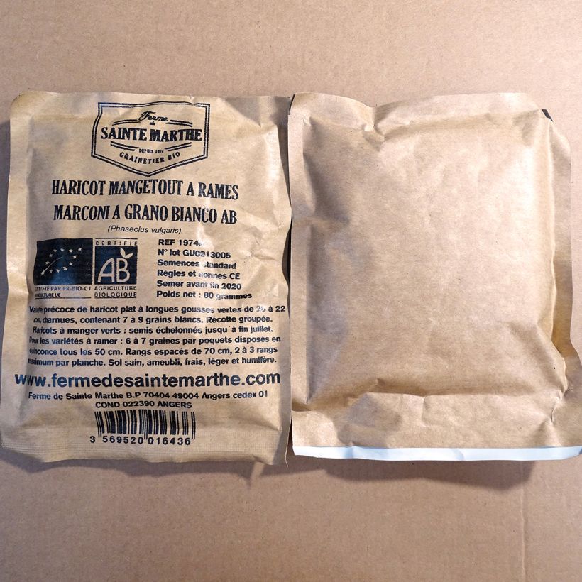 Ejemplo de ejemplar de Judía de enrame Marconi a Grano Bianco saco de 160 semillas (80g) tal y como se entrega