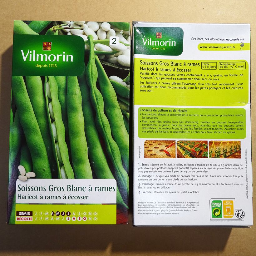 Ejemplo de ejemplar de Judía de enrame Soissons gros blanc - Vilmorin saco de 400 semillas (200g) tal y como se entrega
