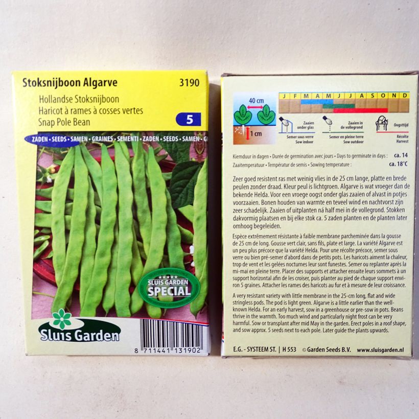 Ejemplo de ejemplar de Judía de enrame Algarve saco de 170 semillas (85g) tal y como se entrega