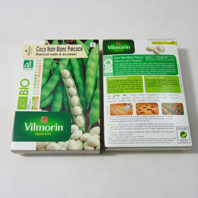 Ejemplo de ejemplar de Judía enana Coco Bio - Vilmorin saco de 200 semillas (100g) tal y como se entrega