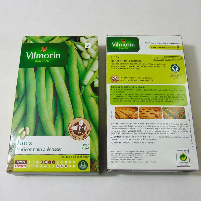 Ejemplo de ejemplar de Judía enana Linex saco de 400 semillas (200g) tal y como se entrega