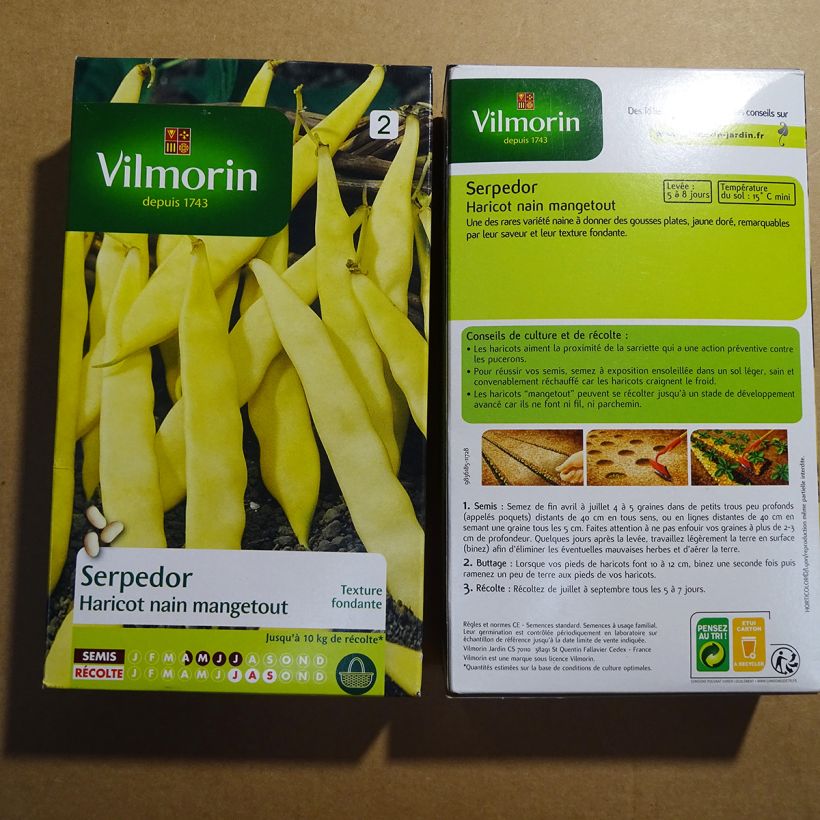 Ejemplo de ejemplar de Judía enana Serpedor - Vilmorin saco de 400 semillas (200g) tal y como se entrega