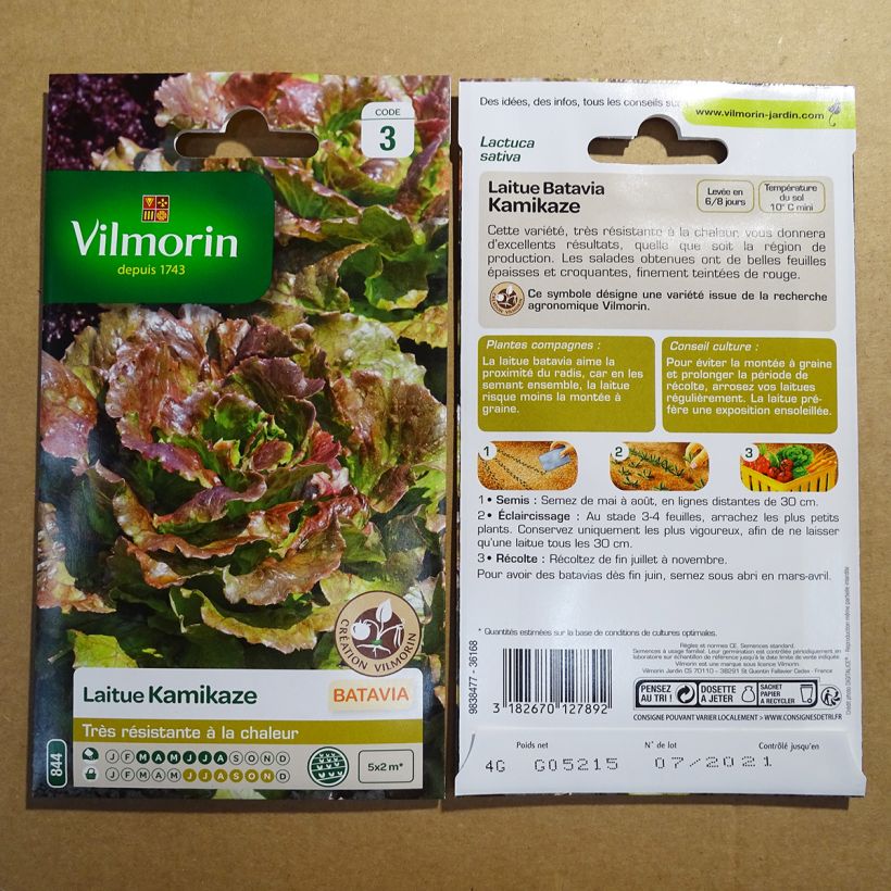 Ejemplo de ejemplar de Lechuga batavia Kamikaze saco de 3200 semillas (4g) tal y como se entrega