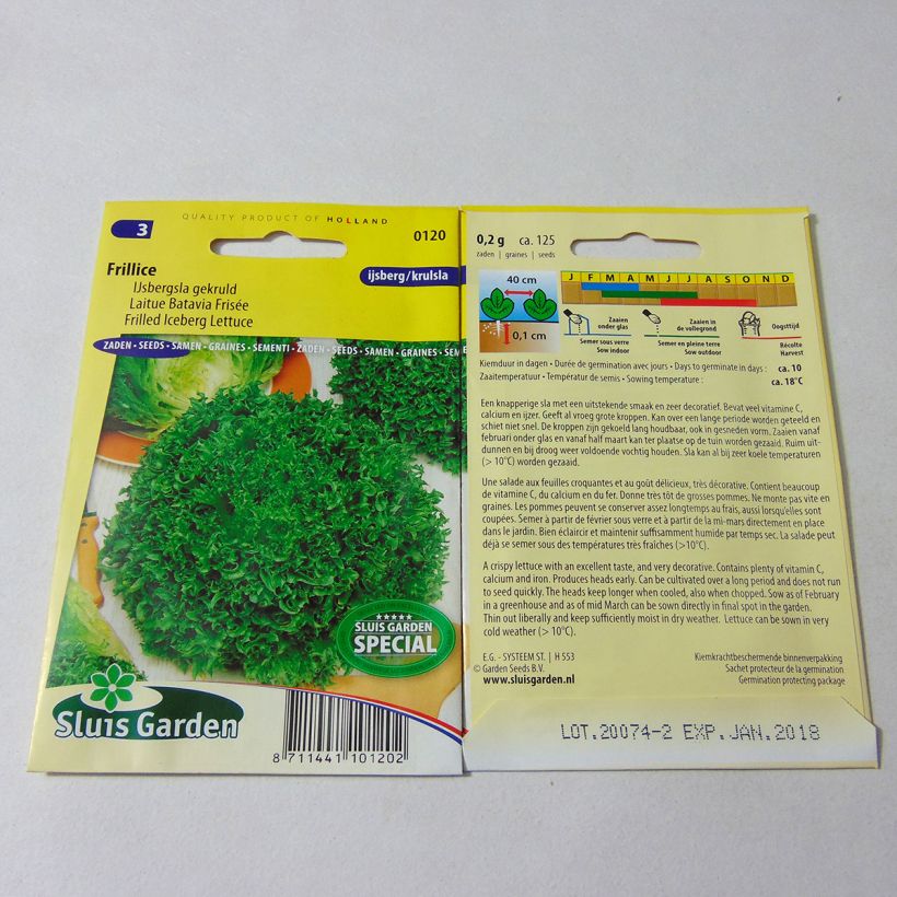 Ejemplo de ejemplar de Lechuga Batavia frisée Frillice saco de 125 semillas tal y como se entrega