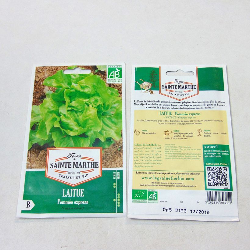 Ejemplo de ejemplar de Lechuga Express saco de 500 semillas tal y como se entrega