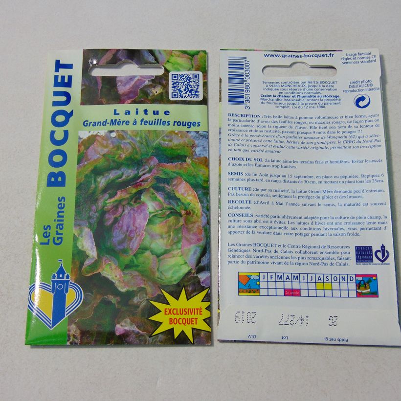 Ejemplo de ejemplar de Lechuga Grand-mère à feuilles rouge saco de 1600 semillas (2g) tal y como se entrega