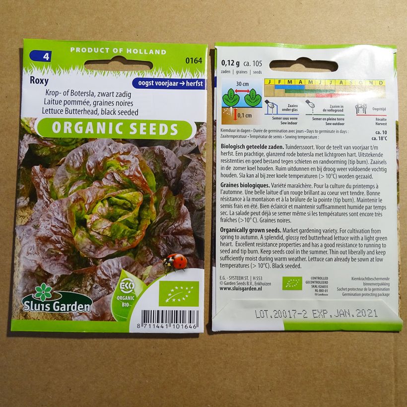 Ejemplo de ejemplar de Lechuga Roxy saco de 105 semillas (0.12g) tal y como se entrega
