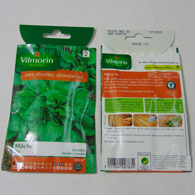 Ejemplo de ejemplar de Canónigo Vit - Vilmorin saco de 1500 semillas (3g) tal y como se entrega
