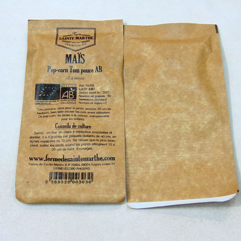 Ejemplo de ejemplar de Maíz dulce Pop-corn Tom Pouce saco de 50 semillas (4g) tal y como se entrega