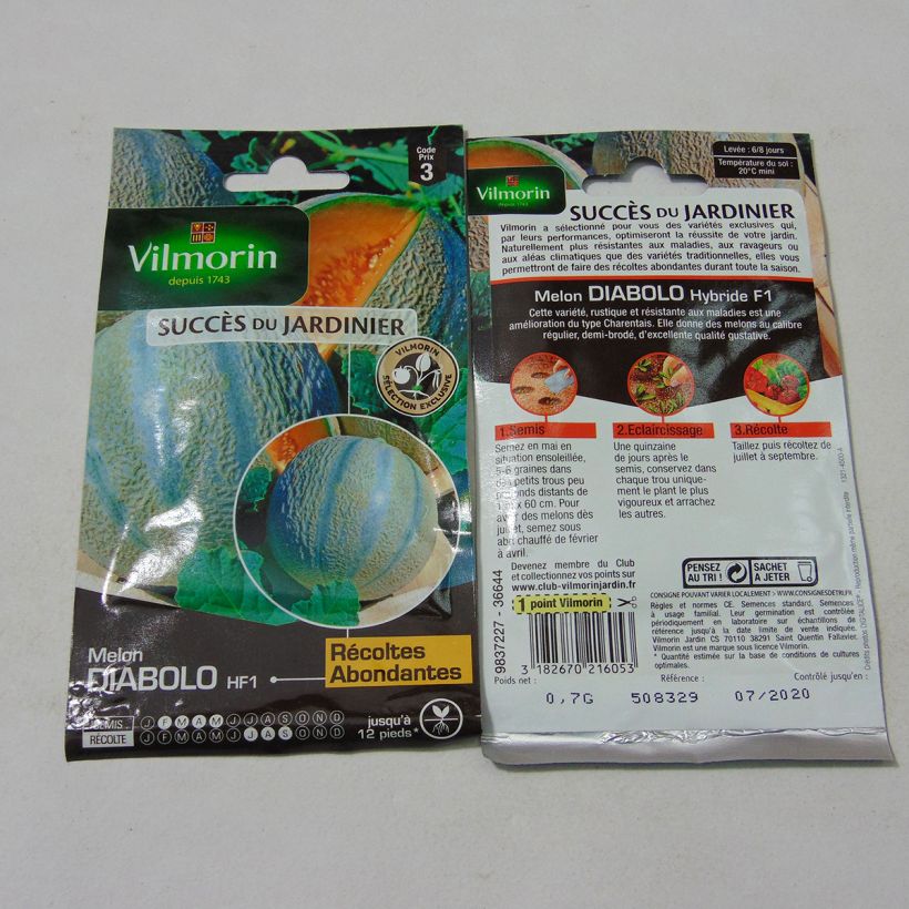 Ejemplo de ejemplar de Melón Diabolo F1 saco de 21 semillas (0.7g) tal y como se entrega