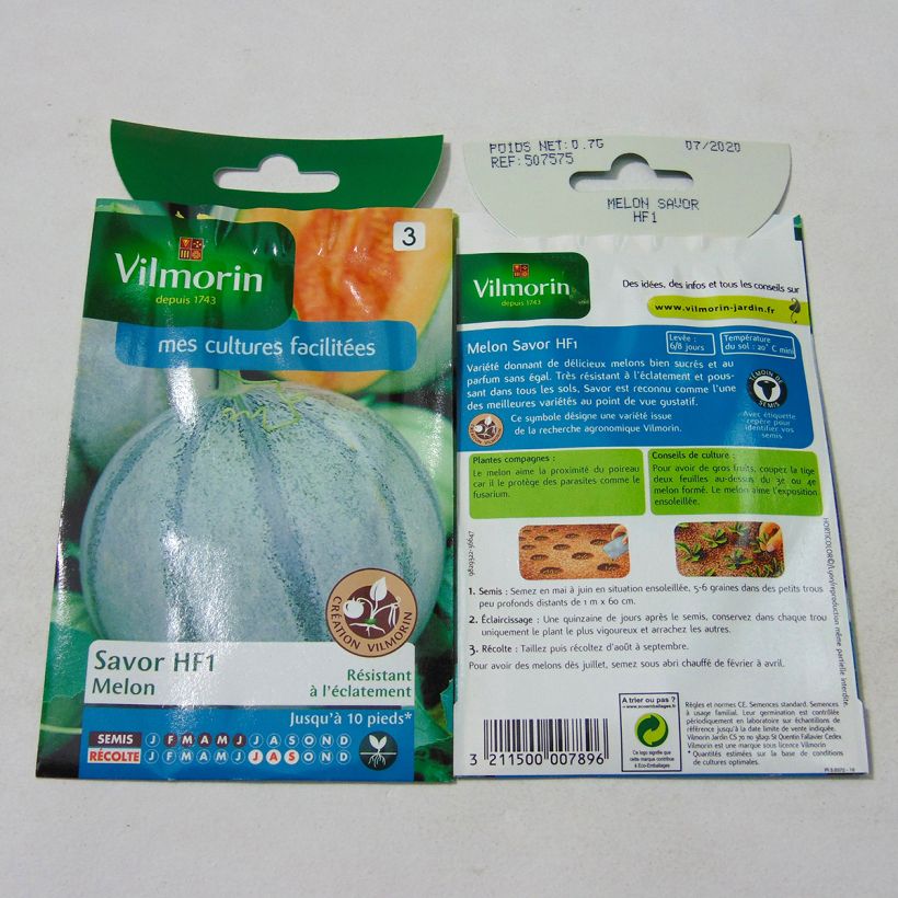 Ejemplo de ejemplar de Melón Savor saco de 21 semillas (0.7g) tal y como se entrega