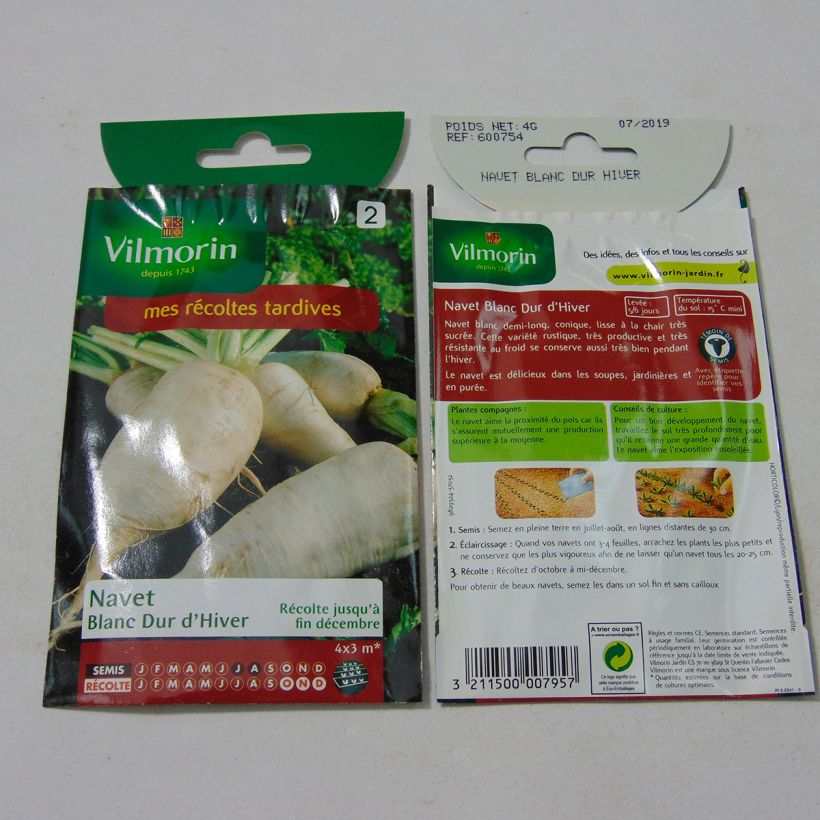 Ejemplo de ejemplar de Nabo blanco Blanc Dur d'Hiver saco de 1600 semillas (4g) tal y como se entrega