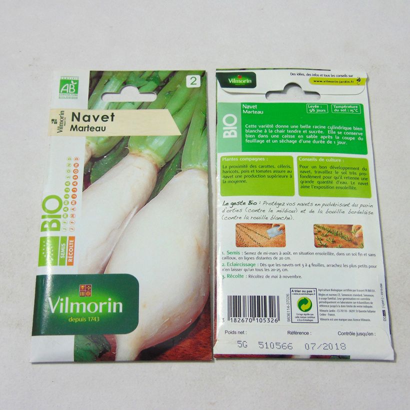 Ejemplo de ejemplar de Nabo Marteau Bio - Vilmorin saco de 2000 semillas (5g) tal y como se entrega