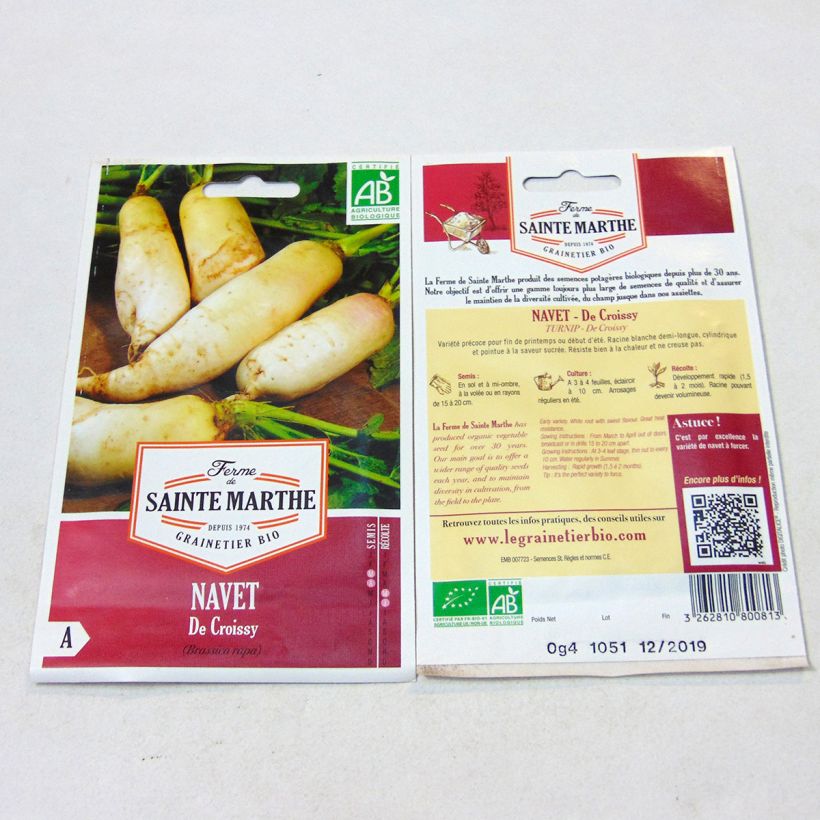 Ejemplo de ejemplar de Nabo de Croissy Bio - Ferme de Sainte Marthe saco de 150 semillas tal y como se entrega