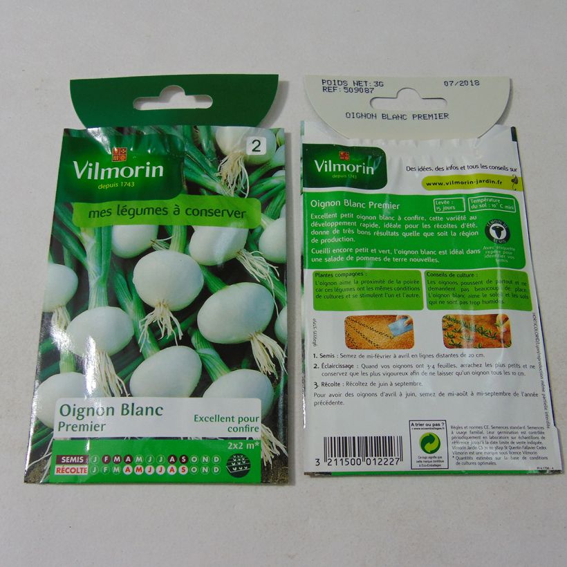 Ejemplo de ejemplar de Ceboletta Blanca Premier saco de 750 semillas (3g) tal y como se entrega