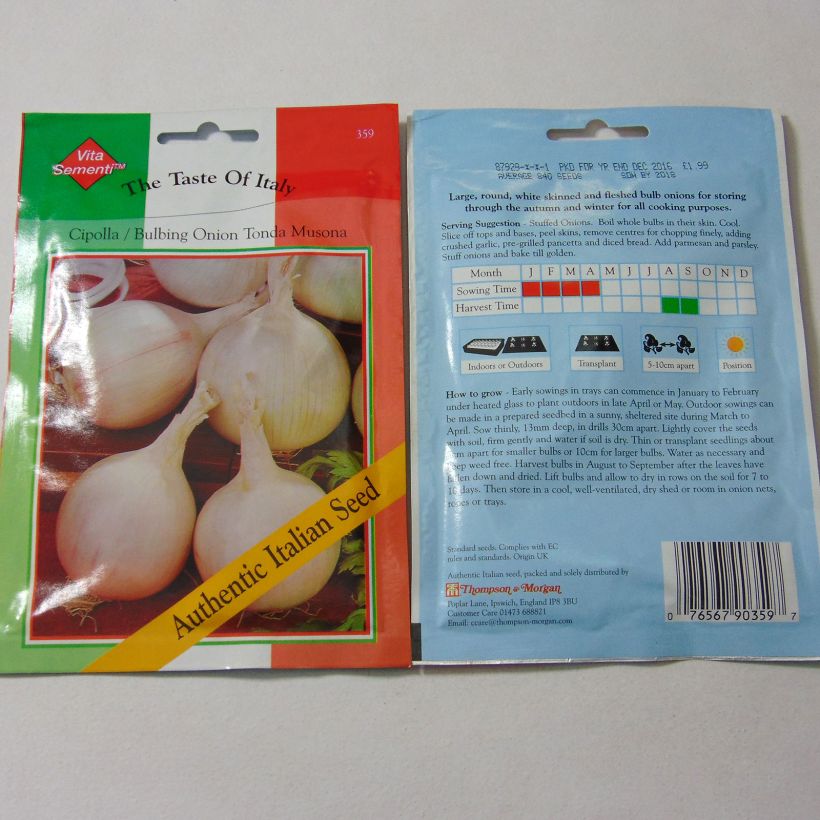 Ejemplo de ejemplar de Cebolla Tonda Musona saco de 600 semillas (3g) tal y como se entrega