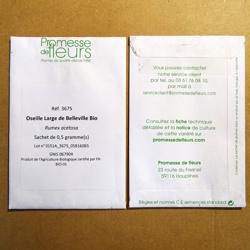 Ejemplo de ejemplar de Acedera común De Belleville saco de 500 semillas (0.5g) tal y como se entrega