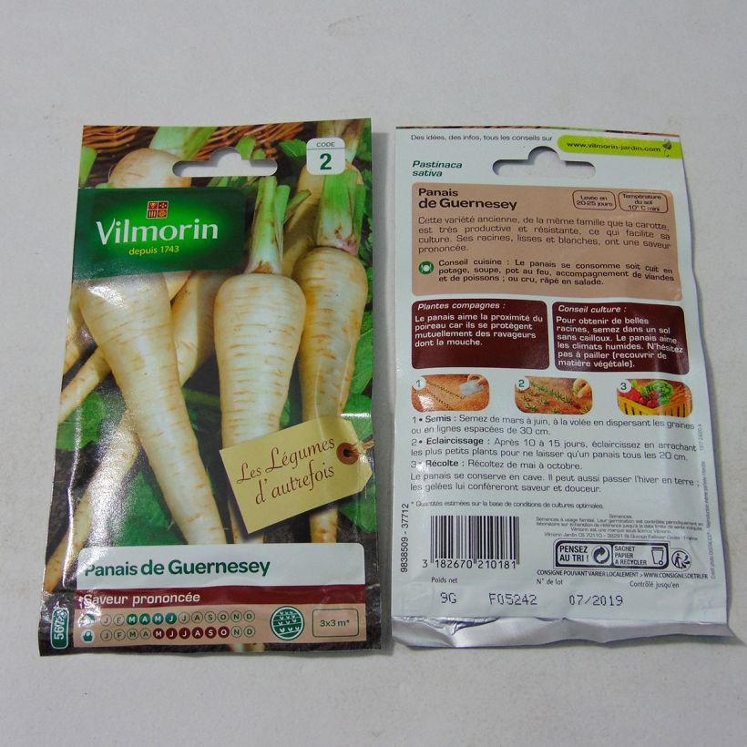 Ejemplo de ejemplar de Chirivía de Guernesey - Vilmorin saco de 1800 semillas (9g) tal y como se entrega