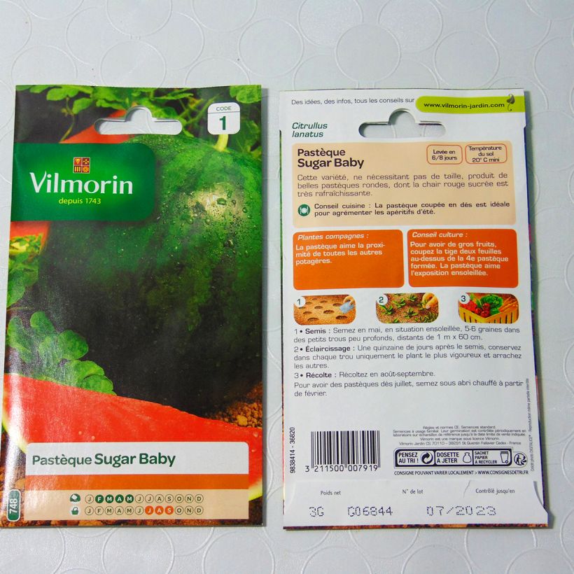 Ejemplo de ejemplar de Sandía Sugar Baby - Vilmorin saco de 3 gramos de semillas tal y como se entrega