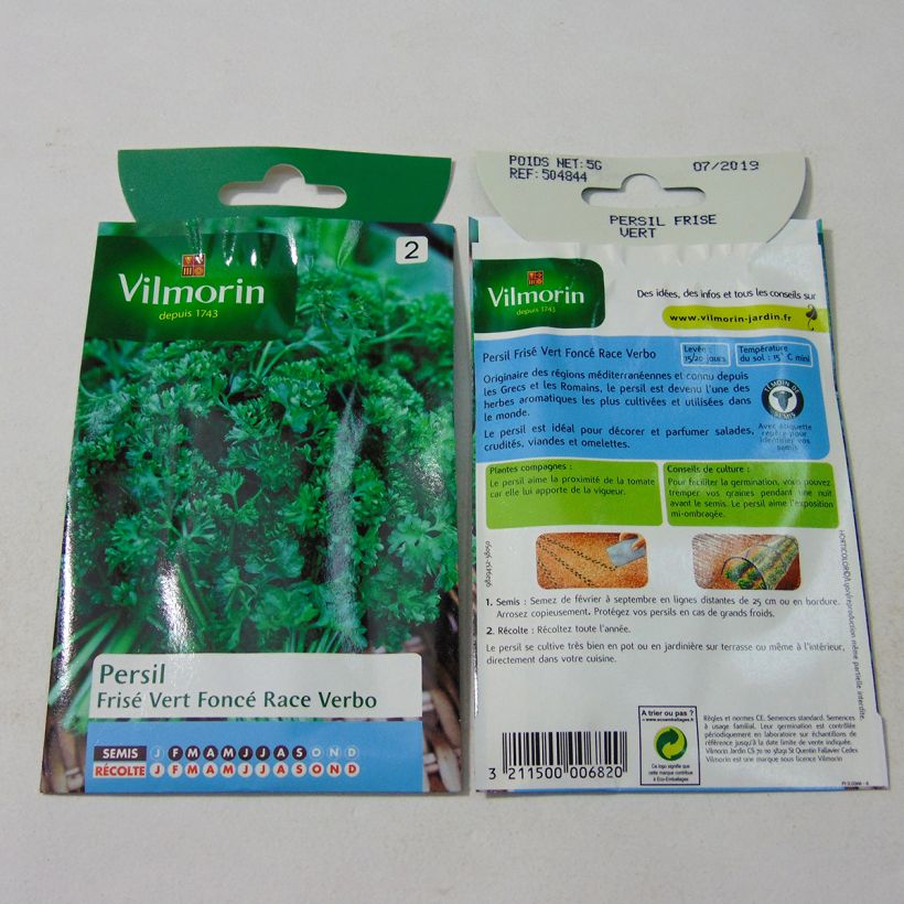 Ejemplo de ejemplar de Perejil race Verbo - Vilmorin saco de 3000 semillas (5g) tal y como se entrega