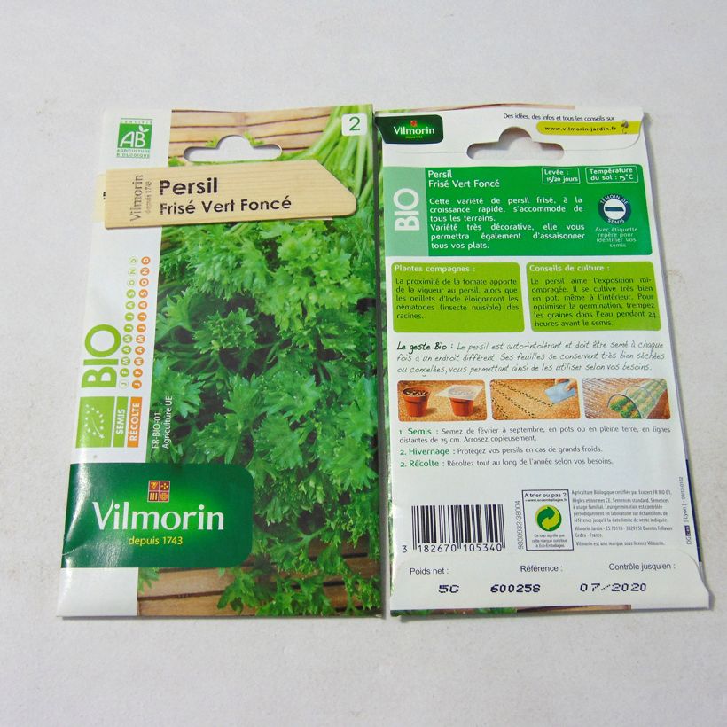 Ejemplo de ejemplar de Perejil Vert Foncé Bio - Vilmorin saco de 3000 semillas (5g) tal y como se entrega