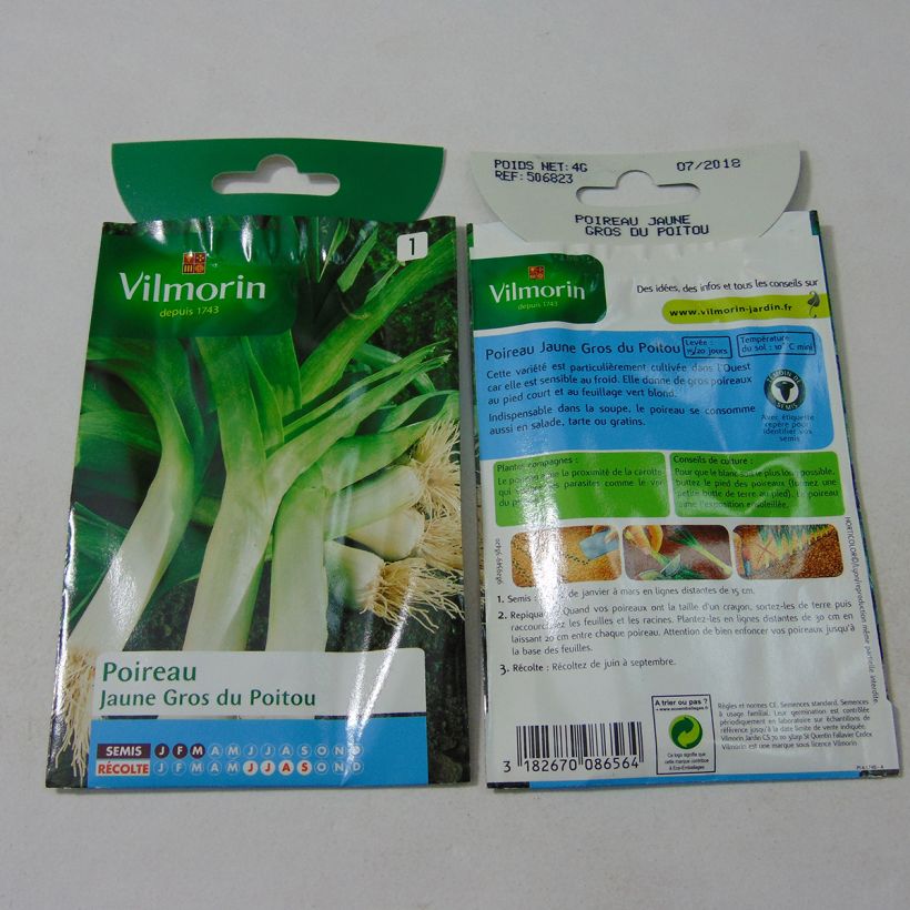 Ejemplo de ejemplar de Puerro amarillo gros du Poitou - Vilmorin saco de 1000 semillas (4g) tal y como se entrega