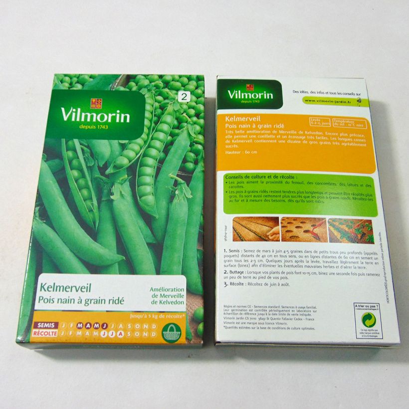 Ejemplo de ejemplar de Guisantes verdes Kelmerveil saco de 600 semillas (200g) tal y como se entrega