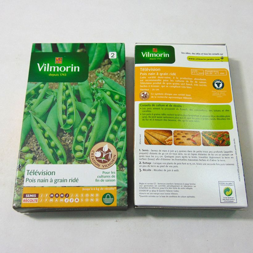 Ejemplo de ejemplar de Guisantes verdes Télévision saco de 600 semillas (200g) tal y como se entrega